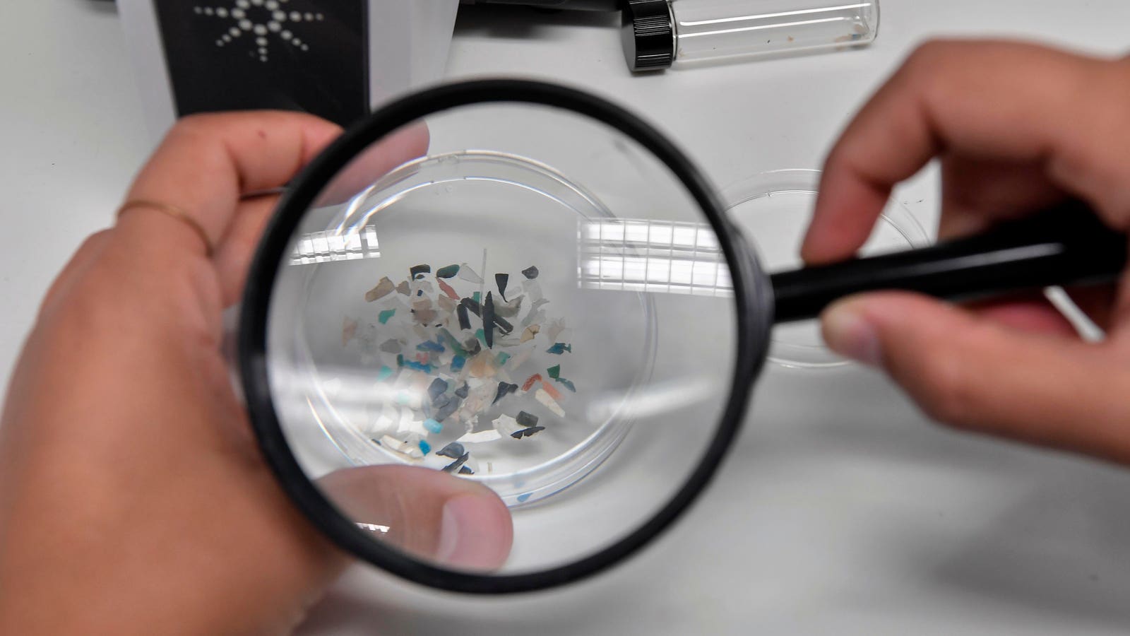 Microplastics Found In Human Brain, Study Says